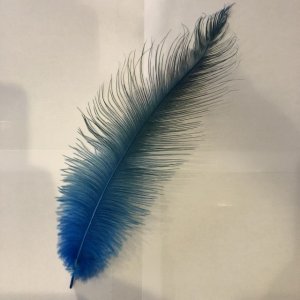 画像1: Rhea Feather Medium