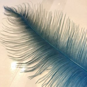 画像2: Rhea Feather Medium