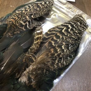 画像3: 【CANAL】 PEACOCK SHOULDER