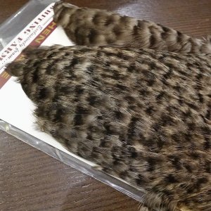 画像3: 【WHITING】Coq de Leon Hen Cape - Grizzly