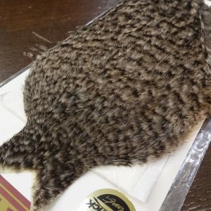 画像2: 【WHITING】Coq de Leon Hen Cape - Grizzly