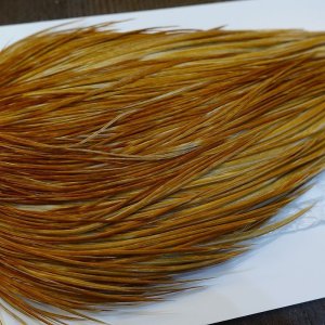 画像4: 【WHITING】ROOSTER Cape Pro Grade - Medium Ginger No.3