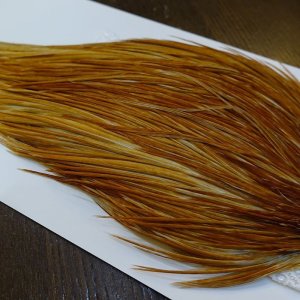 画像3: 【WHITING】ROOSTER Cape Pro Grade - Medium Ginger No.3