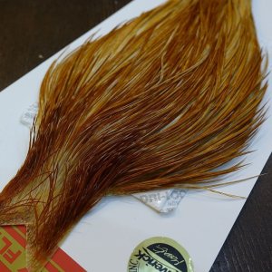 画像2: 【WHITING】ROOSTER Cape Pro Grade - Medium Ginger No.3