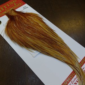 画像5: 【WHITING】ROOSTER Cape Pro Grade - Medium Ginger No.3