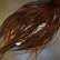 画像6: 【WHITING】High & Dry ROOSTER SADDLE - DYED COACHMAN BROWN No.1 #16