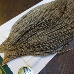 画像3: 【WHITING】Hebert ROOSTER CAPE Silver grade - DUN GRIZZLY No.2