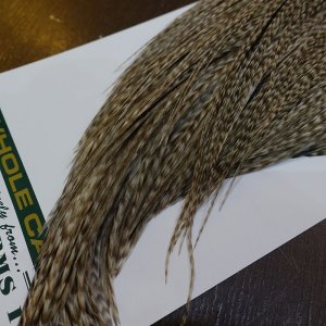 画像5: 【WHITING】Hebert ROOSTER CAPE Silver grade - DUN GRIZZLY No.2