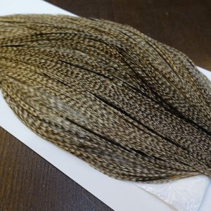 画像4: 【WHITING】Hebert ROOSTER CAPE Silver grade - DUN GRIZZLY No.2