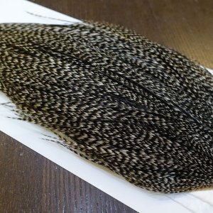 画像4: 【WHITING】Hebert ROOSTER CAPE Bronze Grade - Grizzly variant No.1