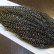 画像4: 【WHITING】Hebert ROOSTER CAPE Bronze Grade - Grizzly variant No.1 (4)