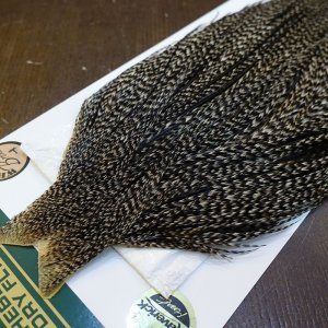 画像3: 【WHITING】Hebert ROOSTER CAPE Bronze Grade - Grizzly variant No.1