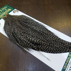 画像2: 【WHITING】Hebert ROOSTER CAPE Bronze Grade - Grizzly variant No.1