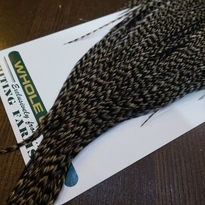 画像5: 【WHITING】Hebert ROOSTER CAPE Bronze Grade - Grizzly variant No.1