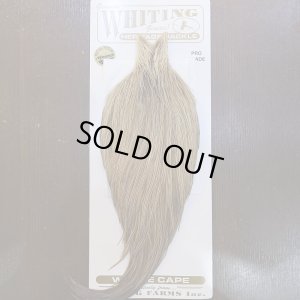 画像1: 【Whiting】HERITAGE ROOSTER CAPE PRO GRADE No.18