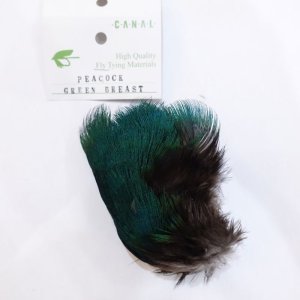 画像1: 【CANAL】Peacock Green Brest