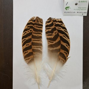 画像1: 【CANAL】 Florican Bustard Lサイズ(フロリカンバスタード)