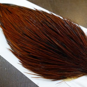 画像3: 【WHITING】Hebert ROOSTER CAPE PRO grade - Furnace No.2