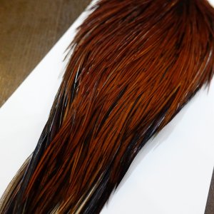 画像4: 【WHITING】Hebert ROOSTER CAPE PRO grade - Furnace No.2