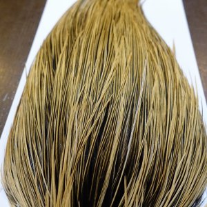 画像5: 【Whiting】Hebert ROOSTER CAPE Bronze Grade - GOLDEN BADGER No.2