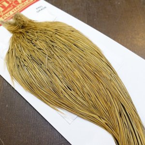 画像2: 【WHITING】ROOSTER Cape Pro Grade - Golden Badger No.2