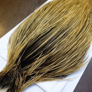 画像3: 【Whiting】Hebert ROOSTER CAPE Bronze Grade - GOLDEN BADGER No.2