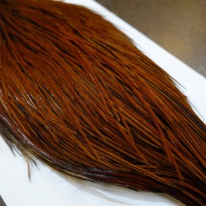 画像2: 【WHITING】Hebert ROOSTER CAPE PRO grade - Furnace No.1