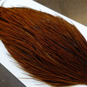 画像4: 【WHITING】Hebert ROOSTER CAPE PRO grade - Furnace No.1