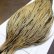 画像3: 【Whiting】Hebert ROOSTER CAPE Bronze Grade - GOLDEN BADGER No.1