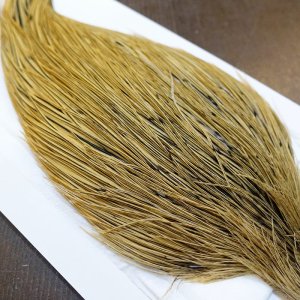 画像4: 【WHITING】ROOSTER Cape Pro Grade - Golden Badger No.2