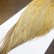 画像5: 【WHITING】Hebert ROOSTER CAPE Bronze Grade - Light Ginger No.1