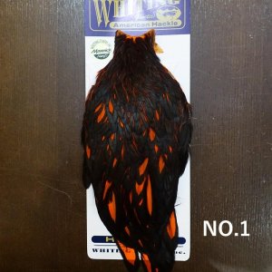 画像1: 【WHITING】American Hen Cape BLW/ORANGE