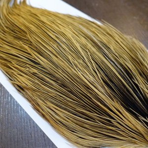 画像4: 【Whiting】Hebert ROOSTER CAPE Bronze Grade - GOLDEN BADGER No.2