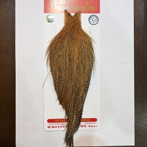 画像1: 【Whiting】ROOSTER CAPE Silver Grade - CREE