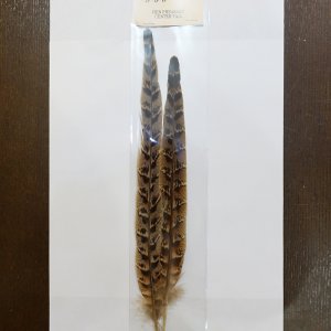 画像1: 【ANGLE】hen pheasant tail