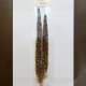 【ANGLE】hen pheasant tail