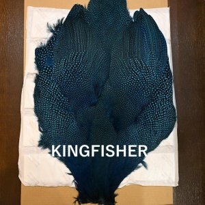 画像4: 【Whiting】Guinea Fowl Large コンプリート(SALE)