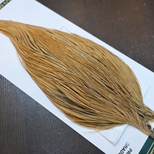 画像4: 【Whiting】Hebert ROOSTER CAPE Pro Grade - GOLDEN BADGER No.1