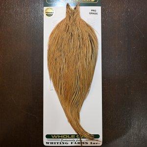 画像1: 【Whiting】Hebert ROOSTER CAPE Pro Grade - GOLDEN BADGER No.1