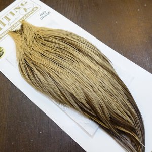 画像2: 【Whiting】HERITAGE ROOSTER CAPE PRO GRADE No.23