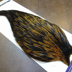 画像4: 【WHITING】American Rooster Cape - UNIQUE VARIANT