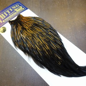 画像2: 【WHITING】American Rooster Cape - UNIQUE VARIANT