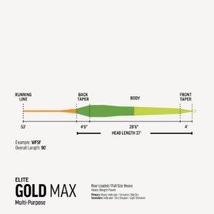 画像3: 【RIO】ELITE GOLD MAX