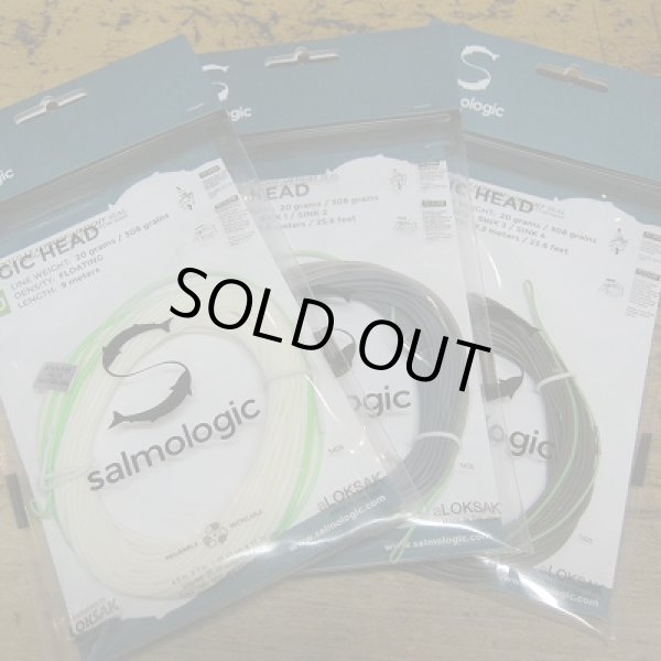 画像1: 【Salmologic】 Logic Head 20g/308grain (SALE) (1)