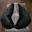 画像2: 【ANGLE】 Gray Goose Complete Wing (2)