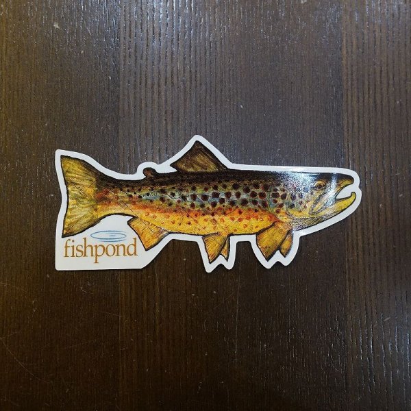 画像1: 【Fishpond】Local Sticker 6" (1)