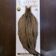 画像1: 【Whiting】HERITAGE ROOSTER CAPE PRO GRADE No.16 (1)