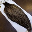 画像2: 【Whiting】HERITAGE ROOSTER CAPE PRO GRADE No.17 (2)