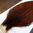 画像4: 【Whiting】HERITAGE ROOSTER CAPE #1 Grade No.14 (4)