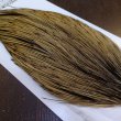 画像3: 【Whiting】HERITAGE ROOSTER CAPE PRO GRADE No.16 (3)